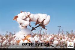 Cotton Growers की बड़ी मांग वर्षा आधारित क्षेत्रों में ड्रिप सिंचाई के लिए 500
करोड़ रुपये की सहायता की अपील - image