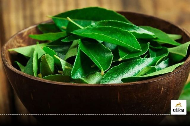 Curry Leaves Oil