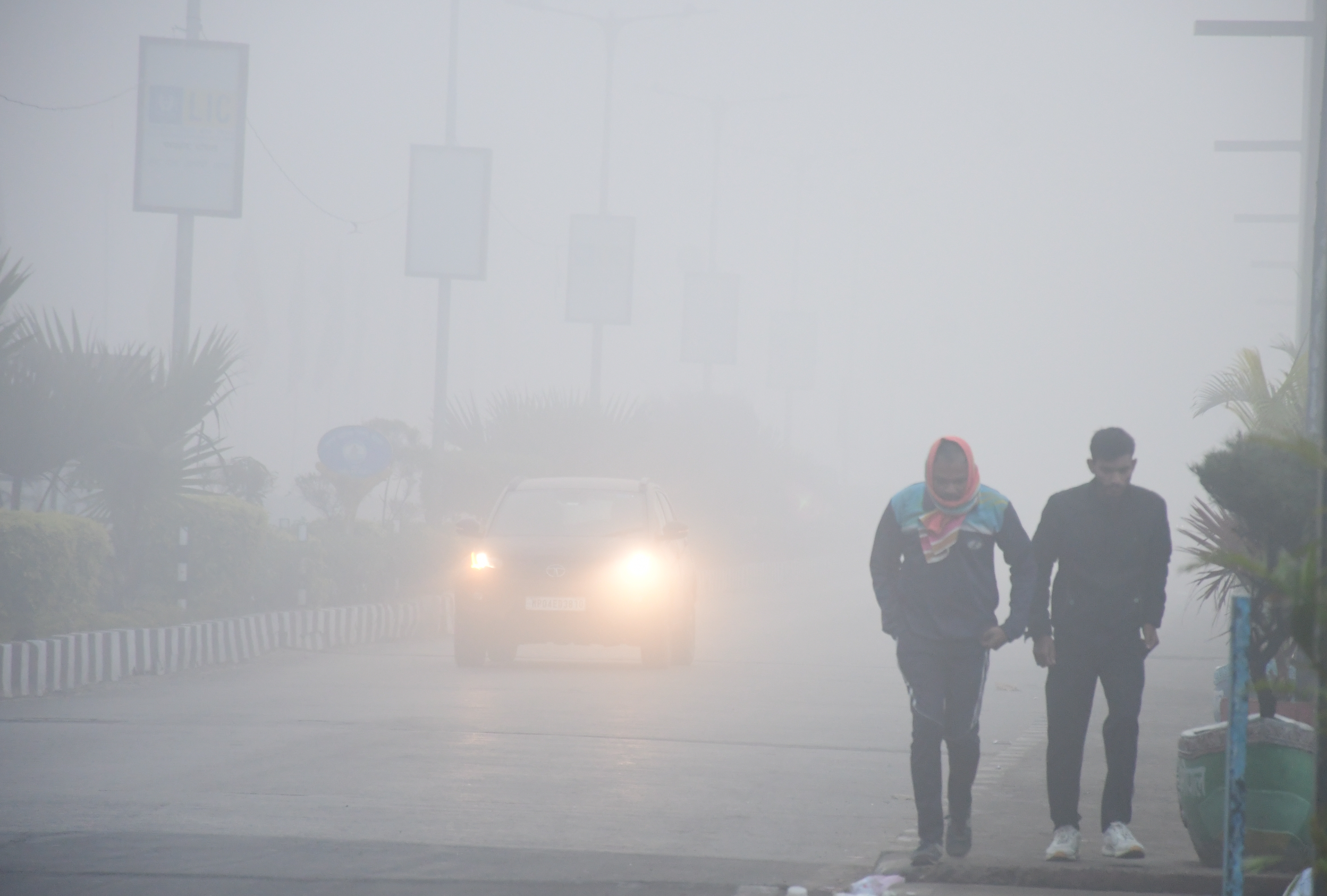 राजाभोज की नगरी डूबी कोहरे में बड़ा तालाब तक नहीं दिखा सूरज बना चांद देखें फोटो