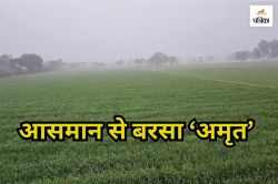 Rajasthan Rain: फसलों के लिए बरसा अमृत, किसानों के खिल उठे चेहरे, बारिश और
शीतलहर ने बढ़ाई ठिठुरन - image