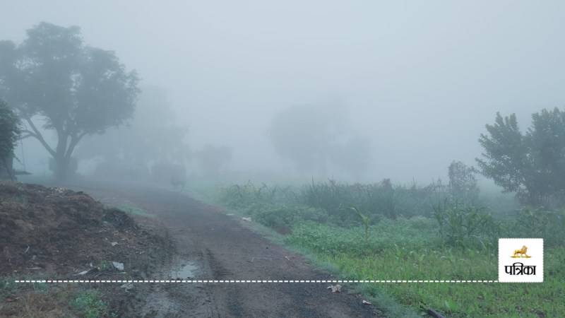 Dense fog in Rampur since morning