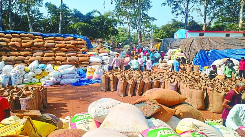 बालोद जिले में समर्थन मूल्य पर धान खरीदी अंतिम चरण पर है। महज 14 दिन और खरीदी होगी। बचे दिनों में जिले के लगभग 21 हजार 557 किसान धान बेचने बाकी हैं।