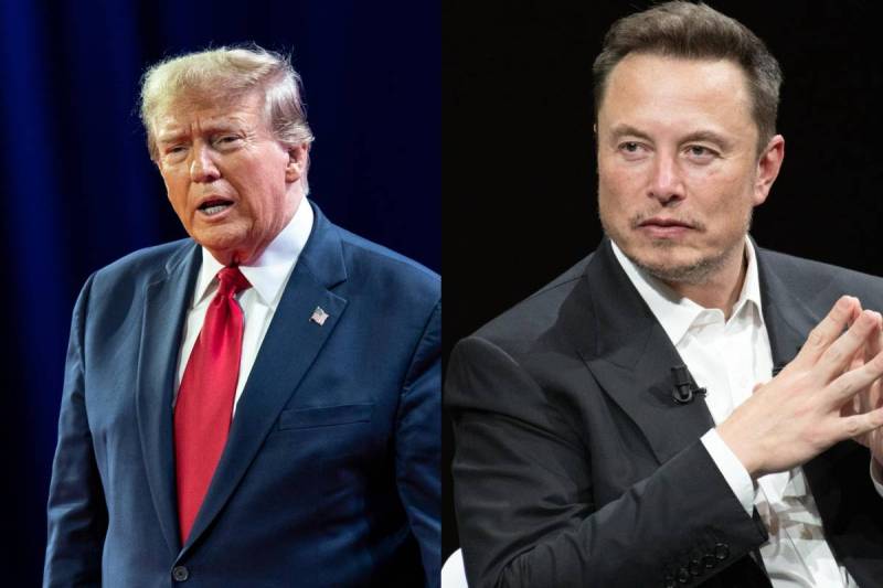Donald Trump and Elon Musk