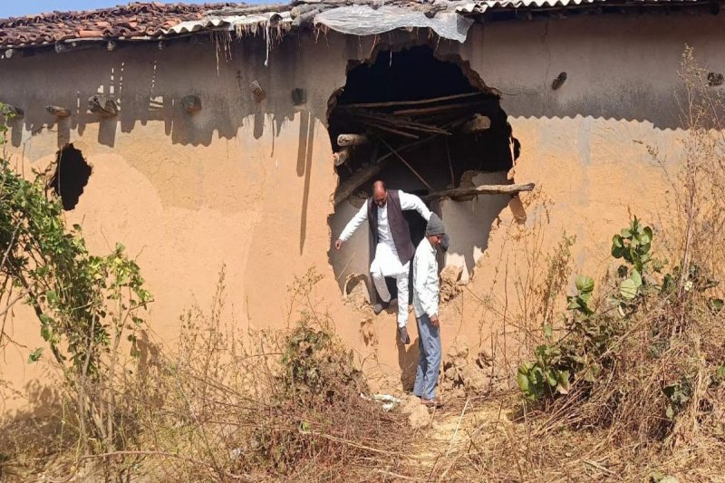 Elephant killed girl child