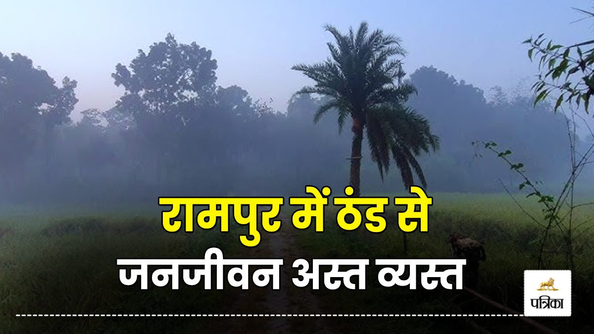 Uttar Pradesh Weather: शीतलहर के बीच दिनभर छाया रहा कोहरा, ठंड से जनजीवन अस्त
व्यस्त