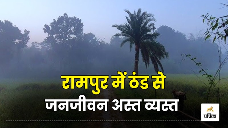Fog remained throughout day amid cold wave in Rampur Weather