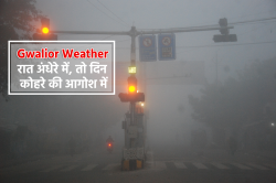 Gwalior Weather: अब पड़ी सर्दी, सबसे सर्द रहा शहर, कोहरा इतना की दिनभर टपकी ओस - image