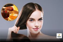 Honey For Hair: सेहत ही नहीं बालों के लिए भी फायदेमंद होता है शहद, जानें इसे
लगाने का तरीका - image