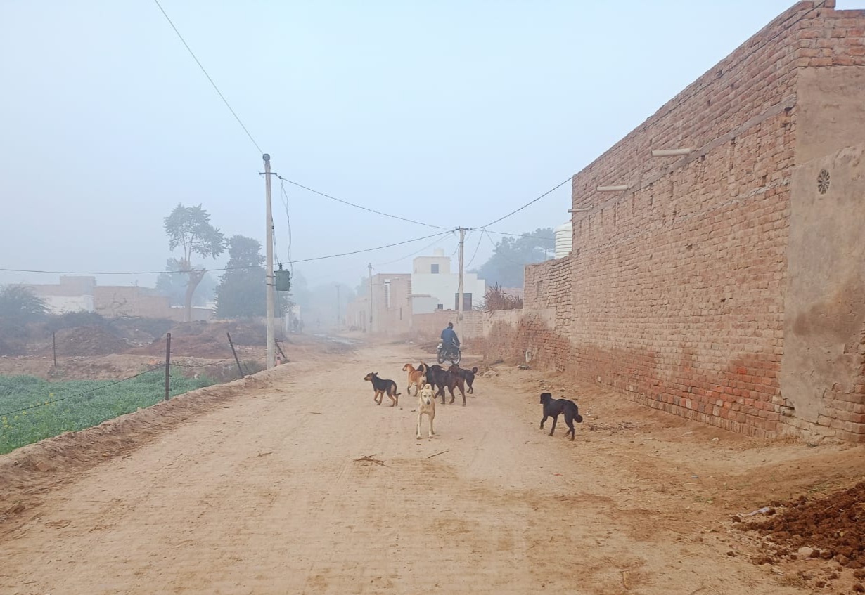 श्वान का बढ़ता आंतक, नागरिकों में बढ़ी परेशानी