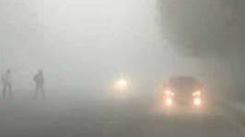 घना कोहरा और कड़ाके की ठंड