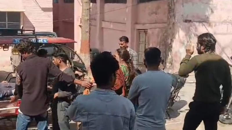 मधुमक्खी के हमले से दर्दनाक मौत