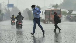 Weather Forecast: यूपी में कोहरा और घने बादल का अलर्ट, 1 फरवरी से होगी बारिश - image