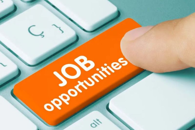 UP News, JOb Alert, Yogi Sarkar. UP CM, Job,