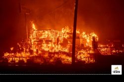 Los Angeles fire: लॉस एंजिल्स में आग का तांडव, मरने वालों का आंकड़ा हुआ 16, राख
हुई 36000 एकड़ ज़मीन - image