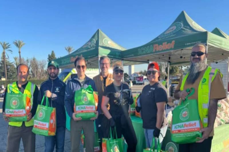 Los Angeles Wildfires