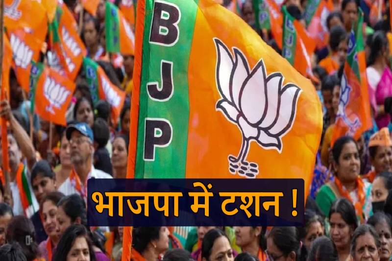 MP BJP