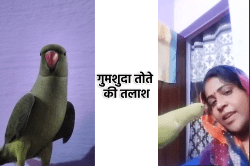 खो गया है मेरा तोता, सीताराम भी बोलता है, ढूंढने वाले को मिलेगा इनाम, Watch
Video - image