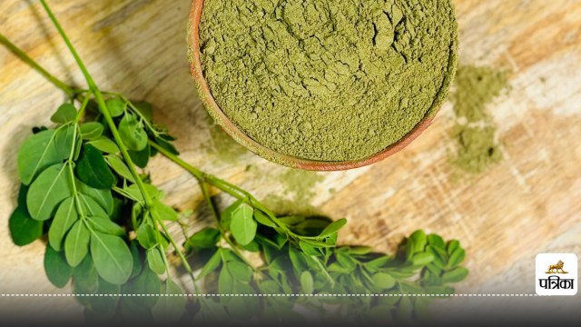 moringa leaves benefits for Control blood sugar Lower cholesterol blood pressure