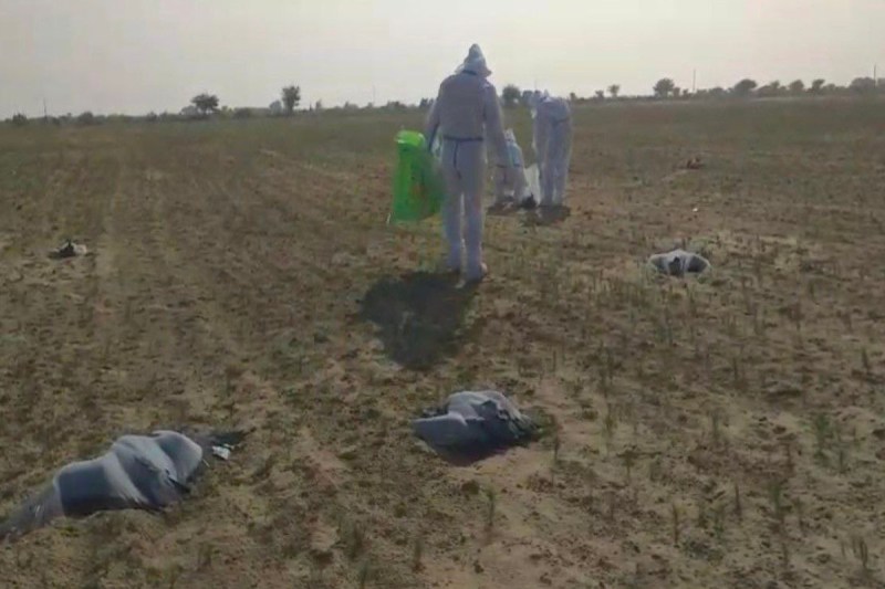 Mysterious death of Kurjan birds in Jaisalmer