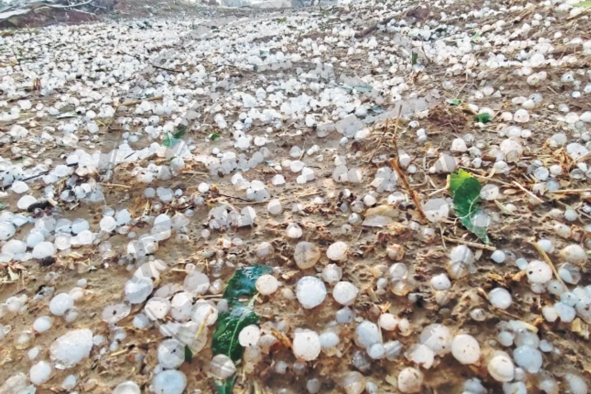 Nagaur Hailstorm-1