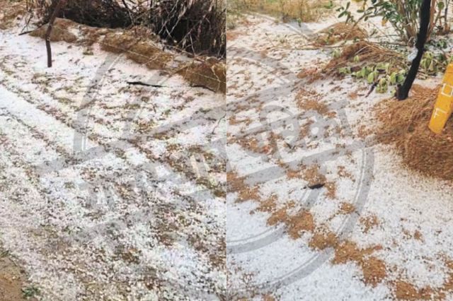 Nagaur Hailstorm