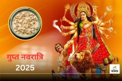 Magh gupt navratri 2025: गुप्त नवरात्रि में रख रहे हैं व्रत तो फलाहार में इन
चीजों को करें शामिल, सेहत रहेगी दुरुस्त - image