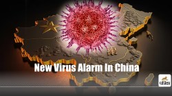 hMPV infection in China : चीन में बढ़ते hMPV वायरस संक्रमण और भारत में हल्की
खांसी के बढ़ते मामलों के लक्षण एक जैसे - image