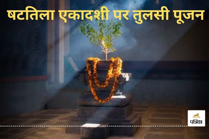 Shattila Ekadashi Puja 2025