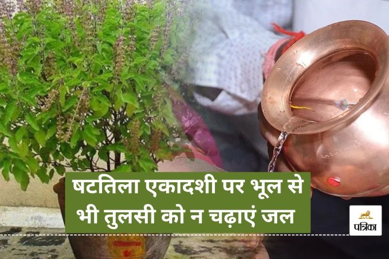 Shattila Ekadashi Puja Vidhi