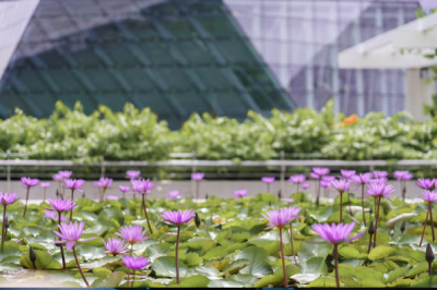 Short video poster image