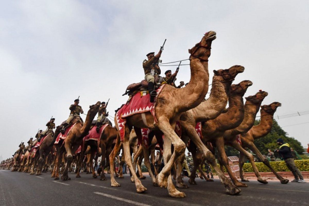 Republic Day 2025: जोधपुर का ऊंट चेतक रिकॉर्ड सातवीं बार परेड में लेगा भाग, 90
ऊंटों पर BSF के सजे-धजे जवान करेंगे परेड