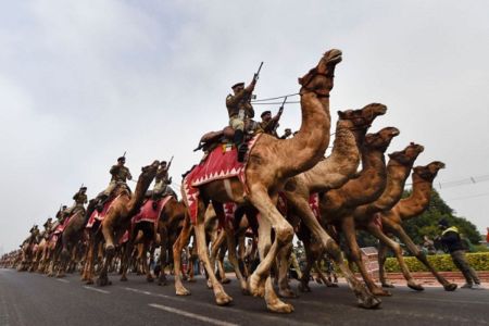 On Republic Day, BSF's decorated soldiers will parade on 90 camels