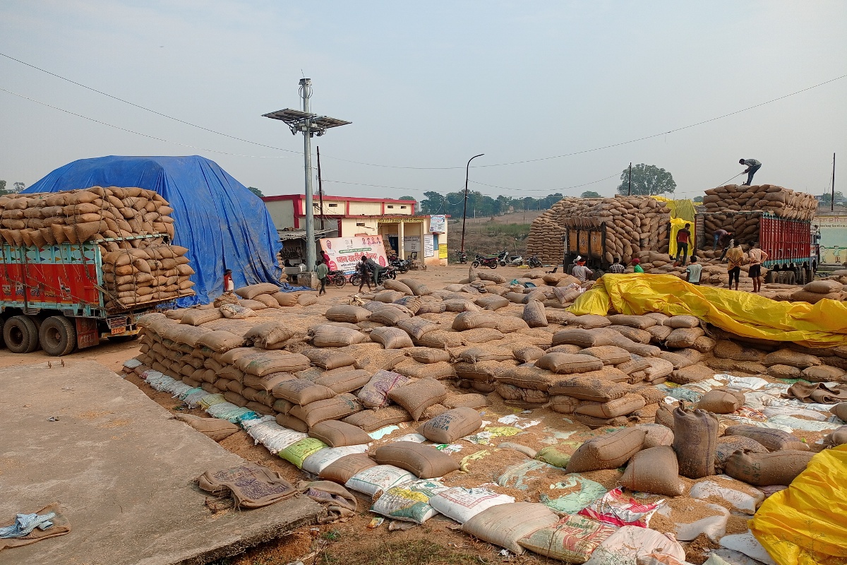 Paddy purchasing last date: धान खरीदी का आज अंतिम दिन: लक्ष्य से पीछे रह गया
कोरिया, 2500 से ज्यादा किसान नहीं बेचने पहुंचे धान