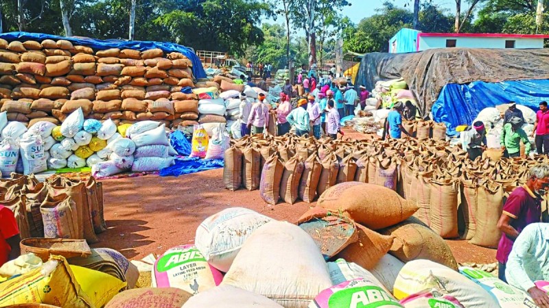 बालोद जिले में समर्थन मूल्य पर धान खरीदी अब अंतिम चरण में है। समर्थन मूल्य पर धान की खरीदी अब महज 5 दिन और होगी उसके बाद धान की खरीदी समाप्त हो जाएगी। शुक्रवार की स्थिति में 1 लाख 47 हजार 220 किसानों से 24 जनवरी तक खरीदी हो गई है।