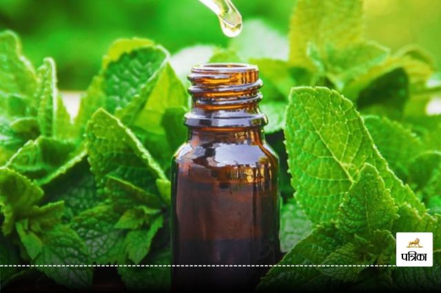 Peppermint Oil For Hair 