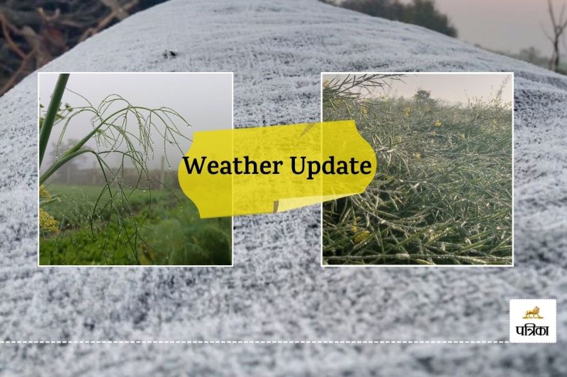 Weather Update Rajasthan this City Snow has frozen on crops People surprised farmers worried know what will be Pratapgarh Weather Tomorrow IMD