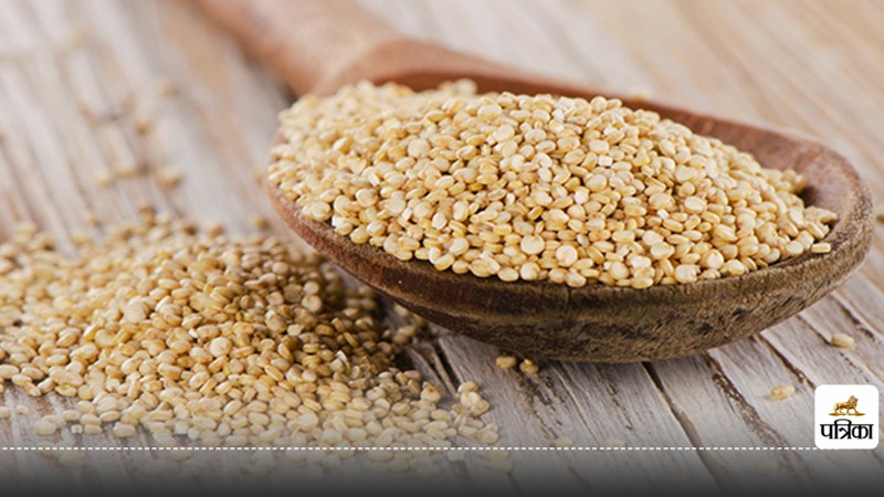 Foods Packed with Protein and Energy