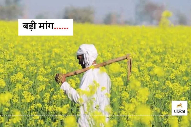 Rajasthan Oil Industries Association Pre Budget Demand Mustard Mandi Fee and Kisan Kalyan Cess be abolished Government