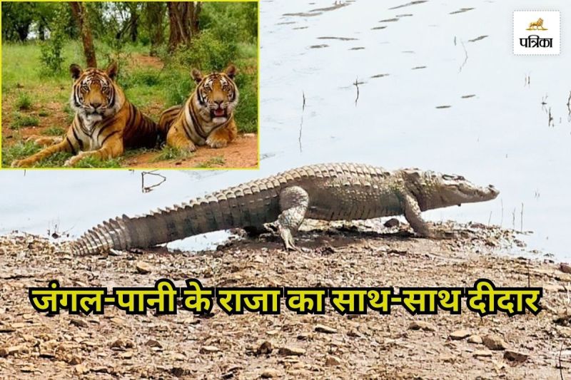 Ramgarh Vishdhari Tiger Reserve