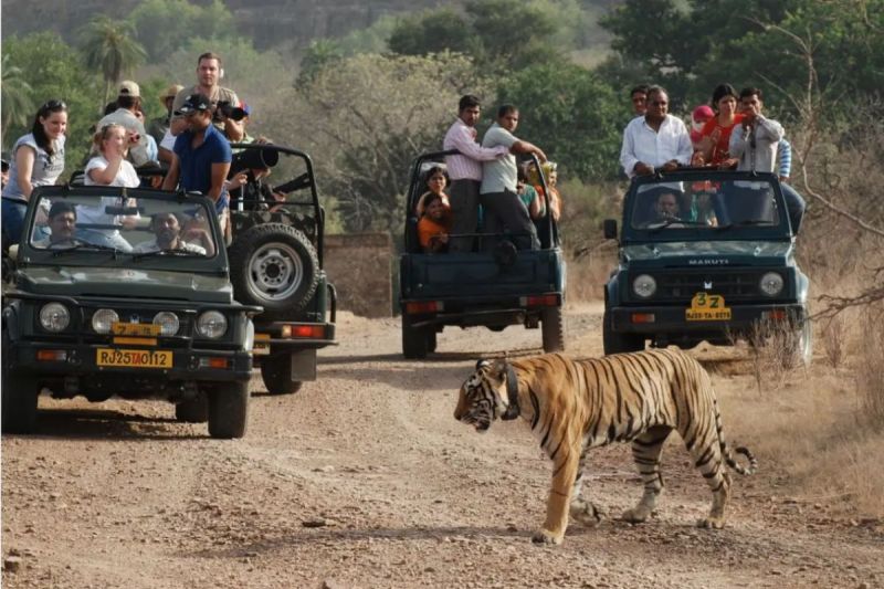Ranthambore National Park