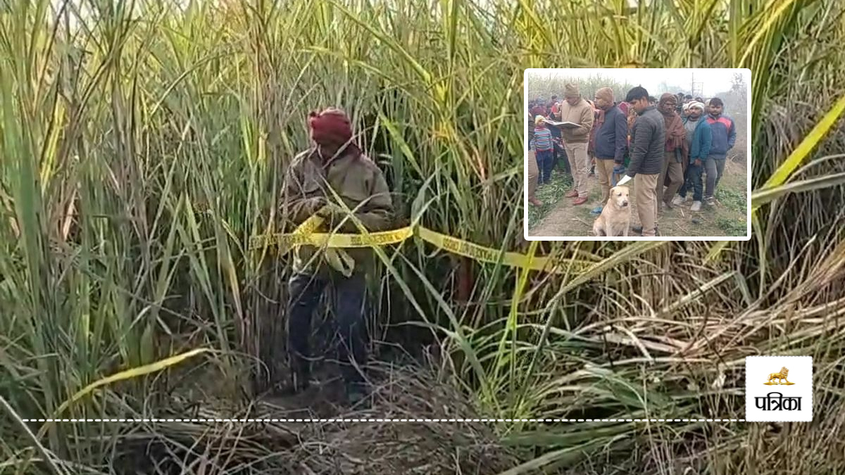 Rampur Murder: रामपुर में मासूम की निर्मम हत्या, 12 दिन पहले घर से हुआ था लापता,
गन्ने के खेत में मिला शव