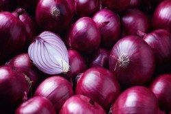 Onion Price: नए साल में इतना सस्ता हो चुका है शेखावाटी का प्रसिद्ध मीठा प्याज,
जानिए सीकर मंडी का भाव - image