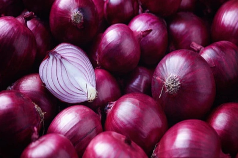Sikar Onion Price