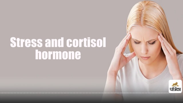 Stress and cortisol hormone