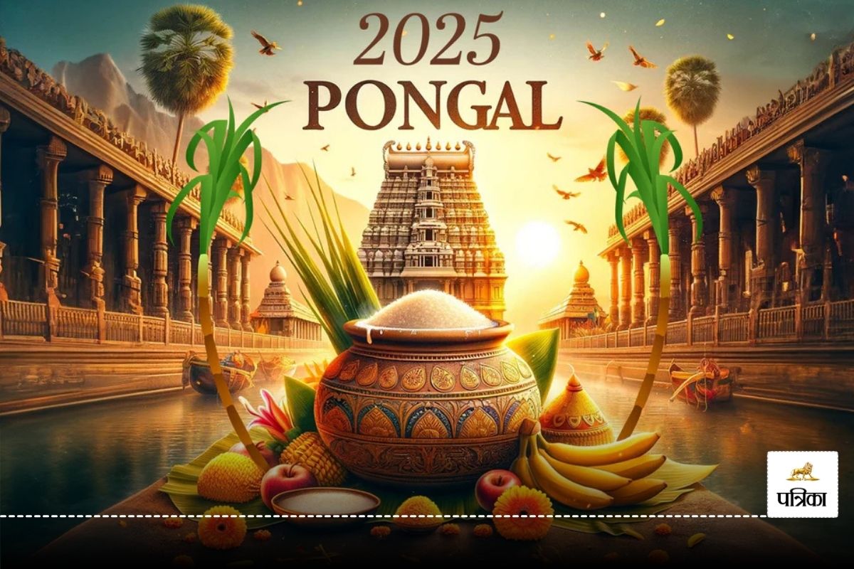 Pongal Festival 2025: चार दिन क्यों मनाया जाता है पोंगल पर्व, जानिए हर दिन का
क्या है महत्व