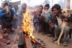 Up weather update: बर्फीली हवाओं ने बढ़ाई मुश्किलें, बारिश के बन रहे आसार - image