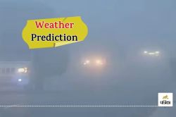 Weather Update : बारिश से बदला मौसम का मिजाज, जानें 24-25-26 जनवरी को कैसा रहेगा
राजस्थान का मौसम - image