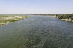 Yamuna Water Deal: राजस्थान में यमुना का पानी आने से पहले ही रार, कांग्रेस ने
बताया ’छल’ तो भाजपा ने दे दिया ये जवाब - image