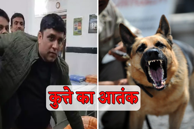 bjp leader and 35 people bitten by dog