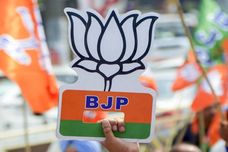 CG Election 2025: रायगढ़ नगर निगम के लिए भाजपा पार्षद प्रत्याशियों की लिस्ट जारी, देखें...